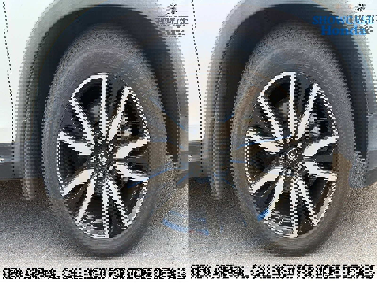 Used 2019 Honda Pilot Elite image 7