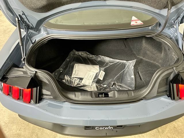 New 2025 Ford Mustang Coupe image 24