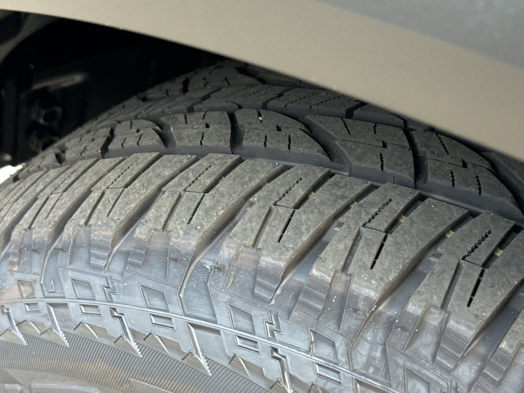 New 2026 Nissan Armada PRO-4X w/ Captain's Chari Seat Package image 10