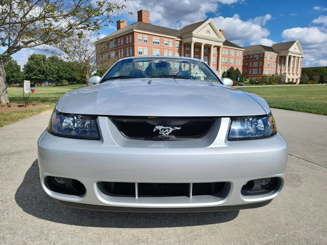Used 2003 Ford Mustang Cobra image 21