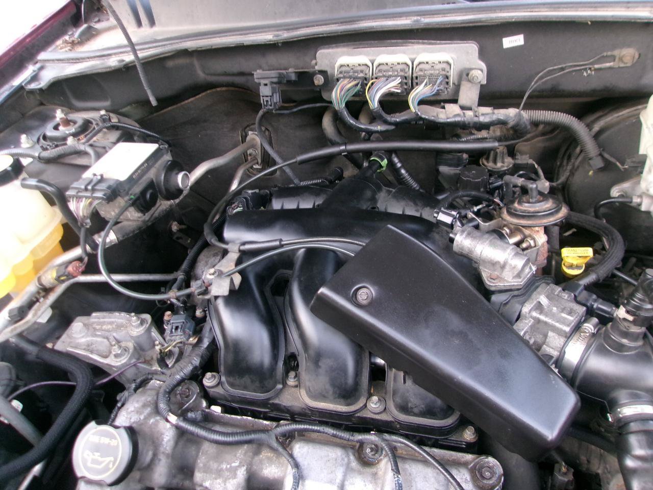 Used 2008 Ford Escape Limited AWD/4WD image 14