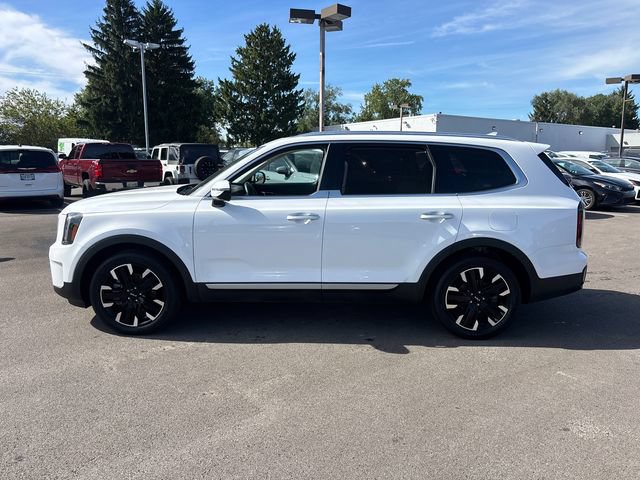 Used 2024 Kia Telluride SX Prestige AWD/4WD image 8