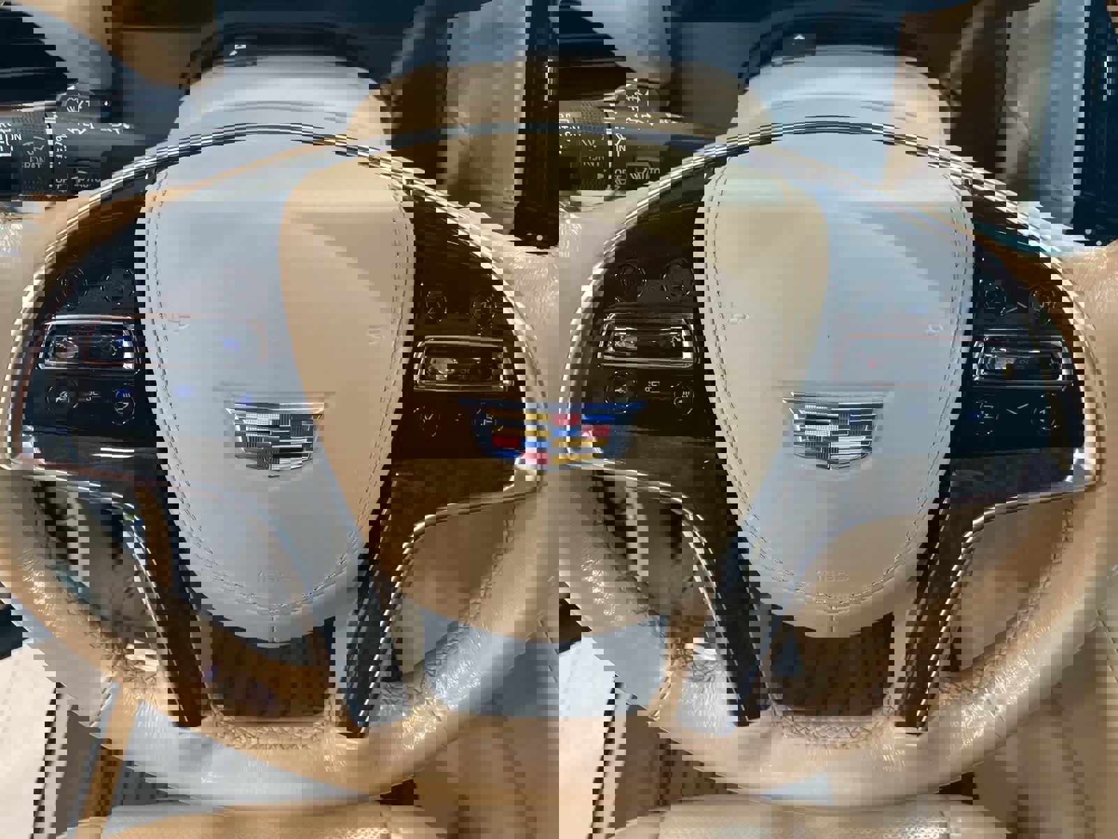 Used 2019 Cadillac Escalade Platinum image 19