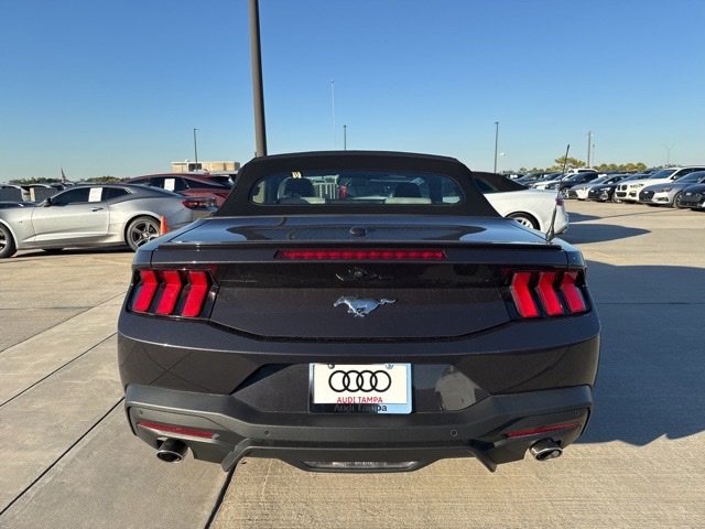 Used 2024 Ford Mustang Premium image 4