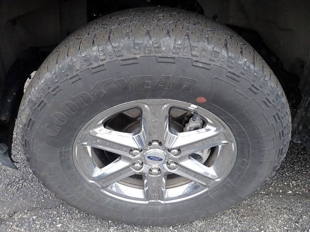 Used 2025 Ford F150 XLT w/ Equipment Group 301A Standard image 9