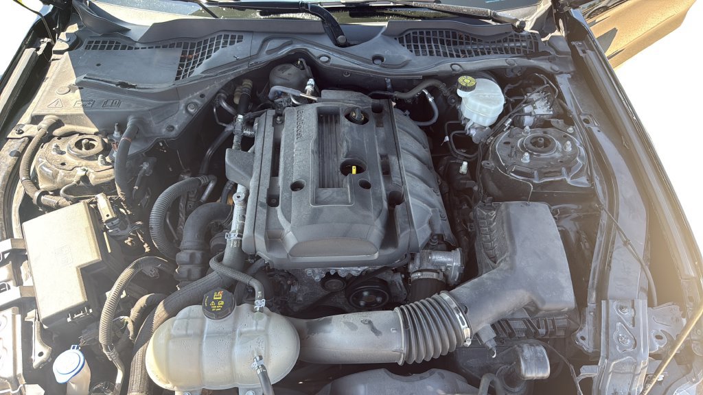 Used 2020 Ford Mustang Coupe w/ Equipment Group 101A RWD image 17