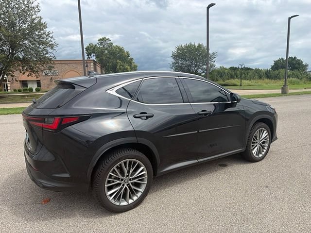 Certified 2022 Lexus NX 350h AWD w/ Vision Package image 13