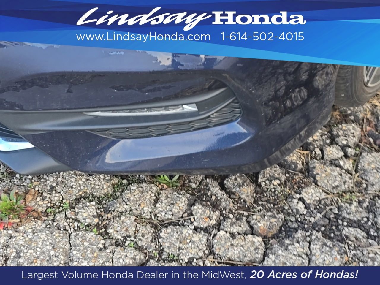 Used 2017 Honda Accord Sport Special Edition image 4