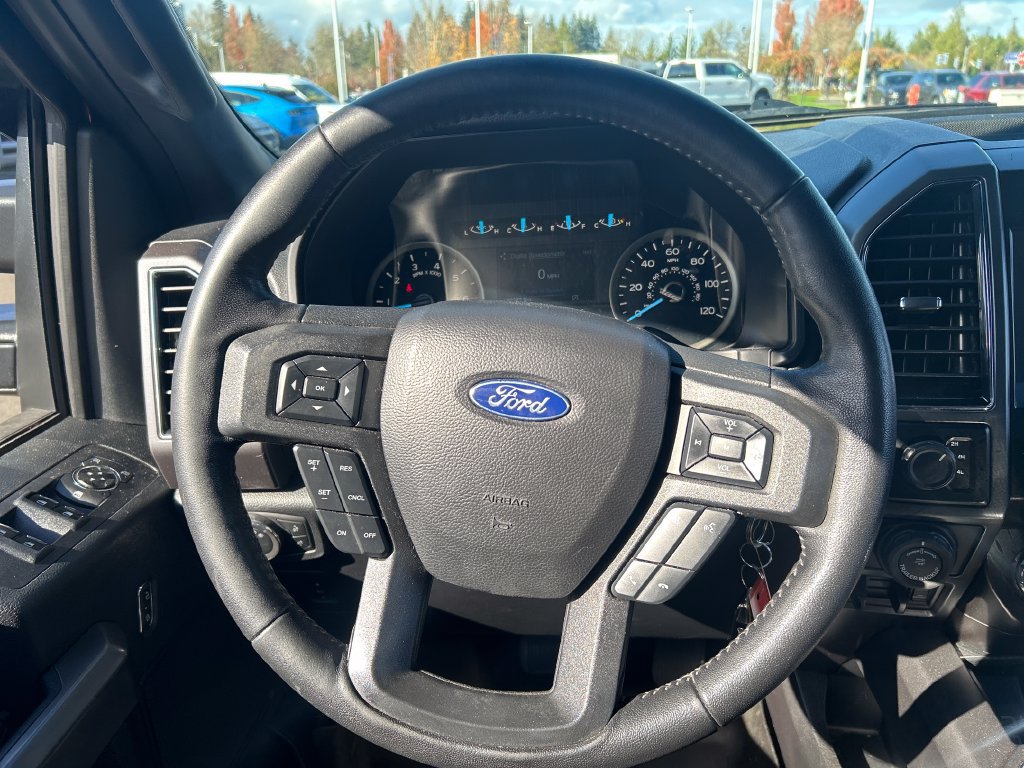 Used 2019 Ford F150 XLT w/ Equipment Group 302A Luxury AWD/4WD image 21