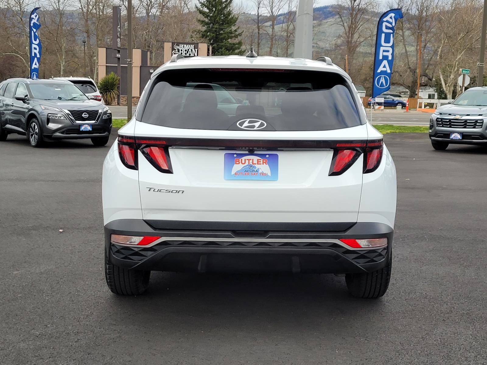 Used 2024 Hyundai Tucson SEL FWD image 6