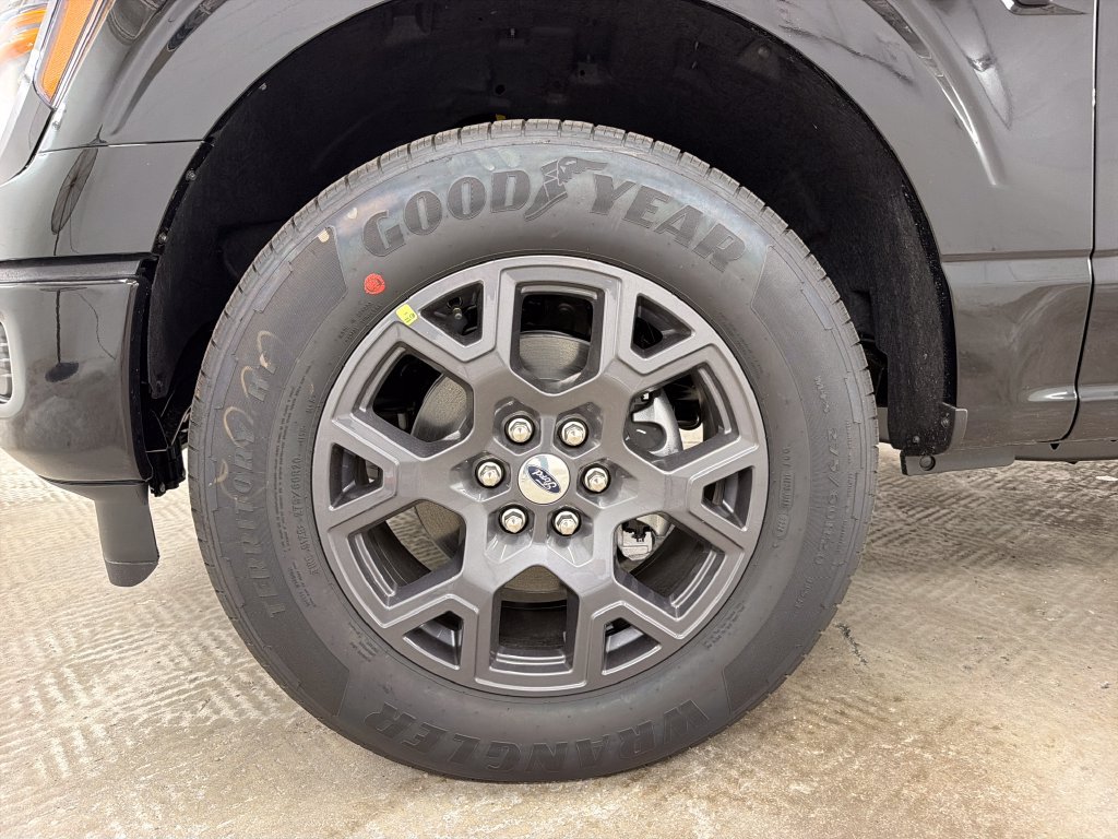 New 2026 Ford F150 STX w/ Equipment Group 200A RWD image 11