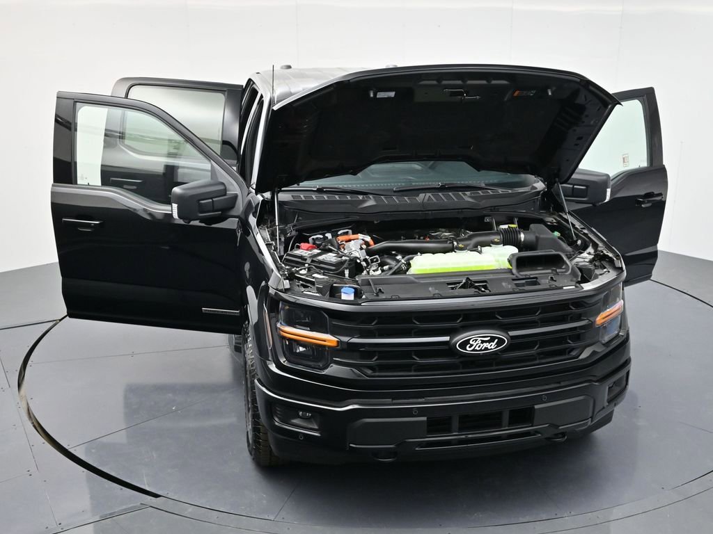 New 2025 Ford F150 XLT w/ Equipment Group 302A MID image 39