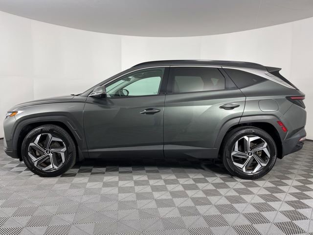 Used 2023 Hyundai Tucson Limited w/ Cargo Package image 6