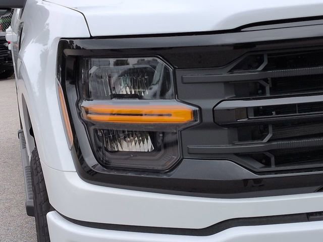 New 2025 Ford F150 XLT w/ Equipment Group 302A MID image 9