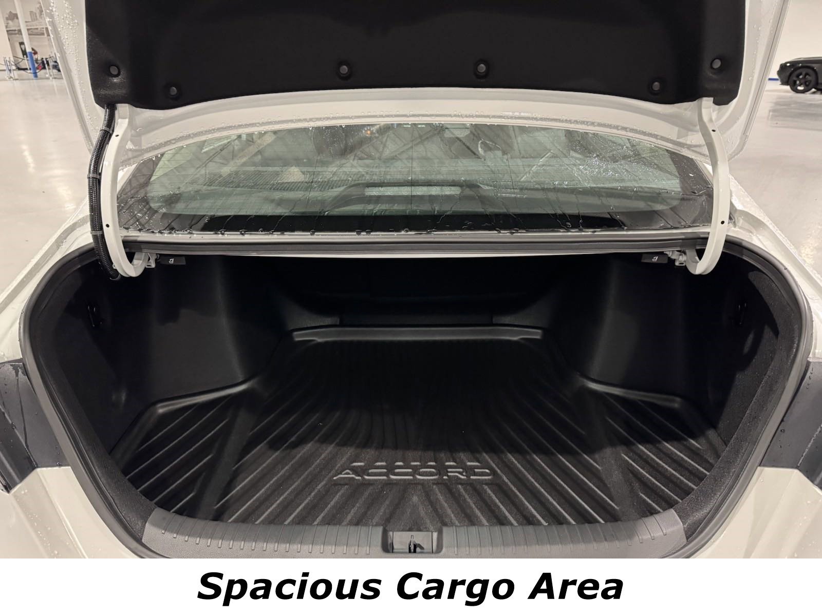 New 2025 Honda Accord EX-L image 13