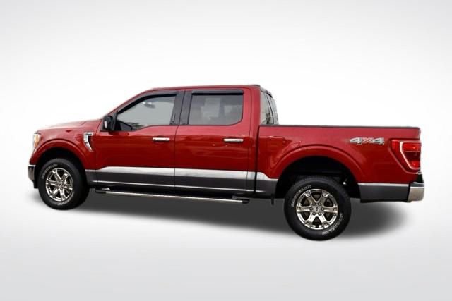 Used 2021 Ford F150 XLT w/ Equipment Group 302A High image 7