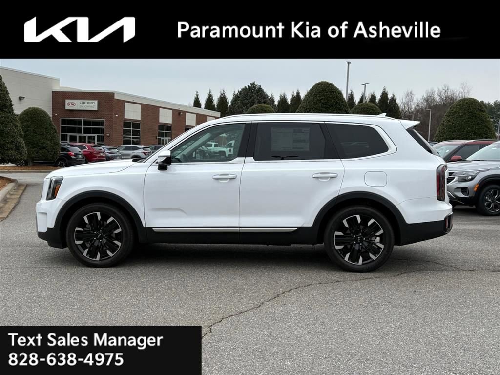 Certified 2025 Kia Telluride AWD image 3
