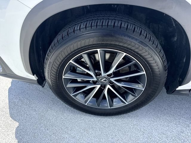Used 2025 Lexus NX 350 AWD w/ Premium Package image 10