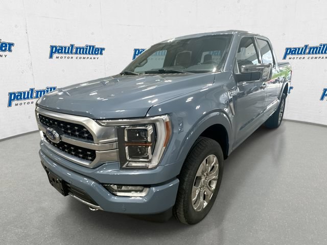 Used 2023 Ford F150 Platinum