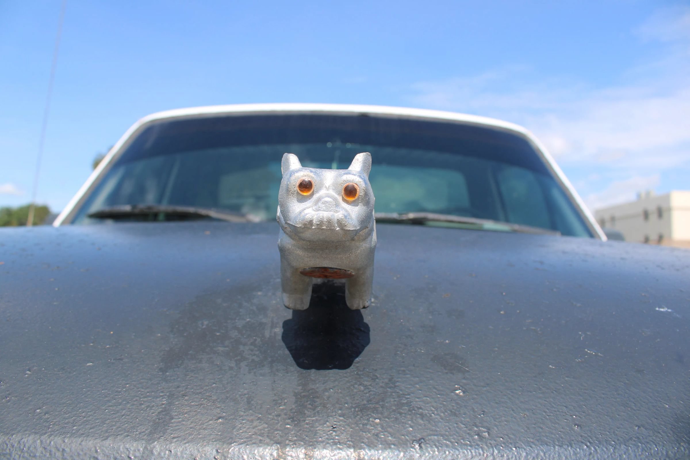 Used 1994 Ford F150 2WD Regular Cab image 32