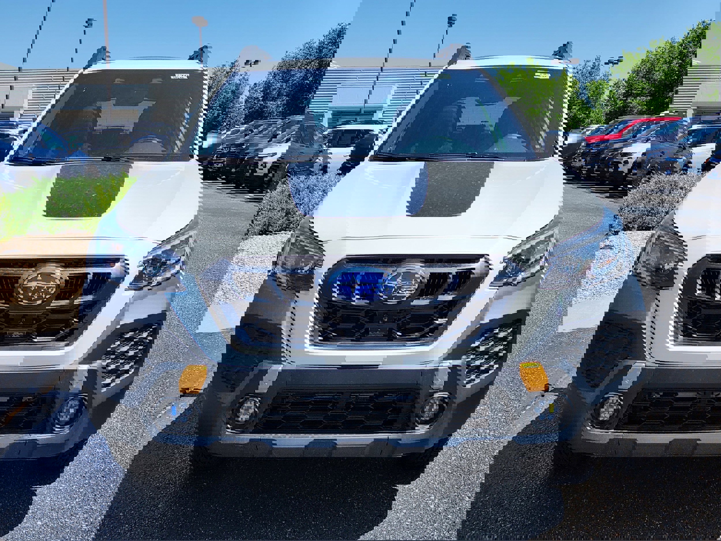 Used 2025 Subaru Outback Wilderness w/ Wilderness Package image 5