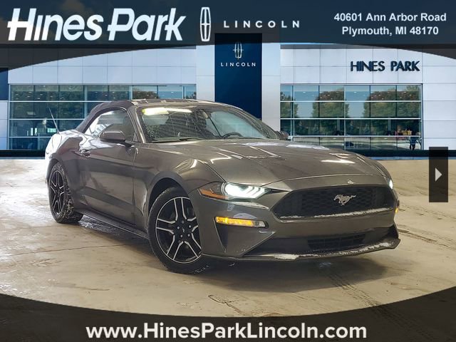Used 2019 Ford Mustang Premium image 1