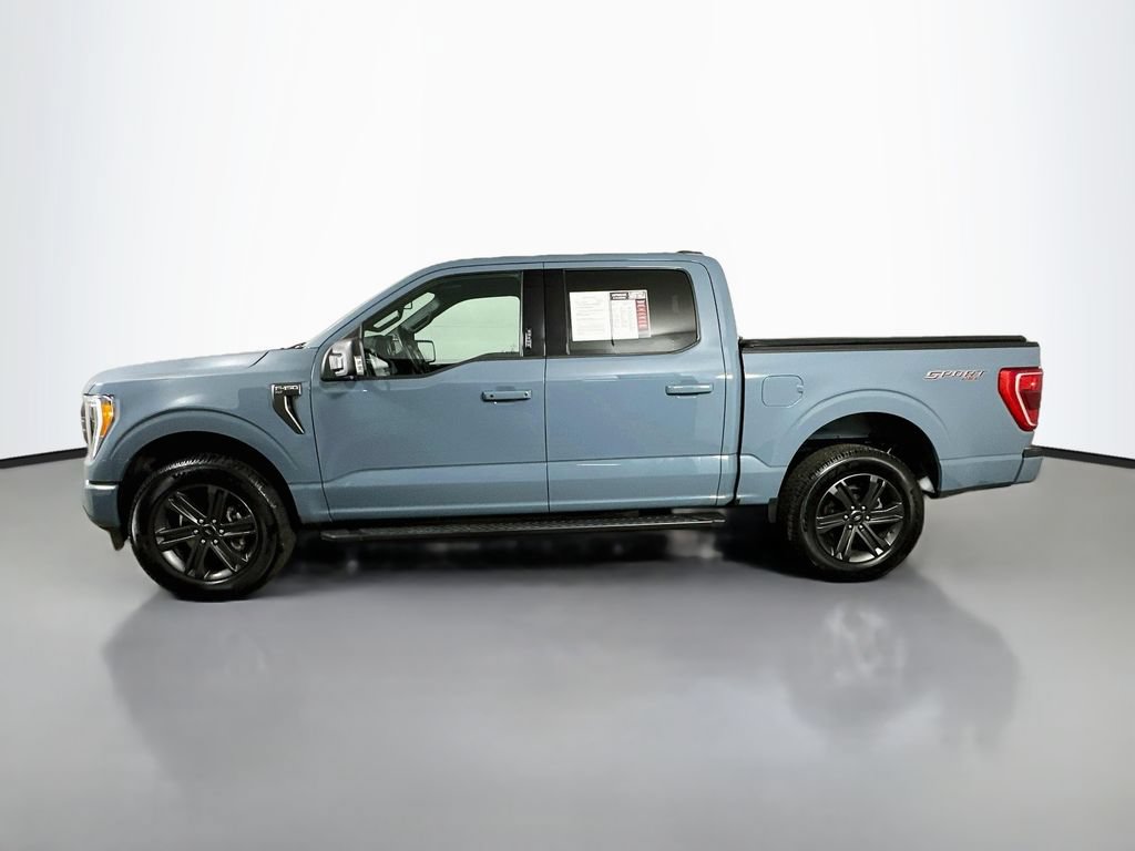 Used 2023 Ford F150 XLT w/ Equipment Group 302A High AWD/4WD image 5