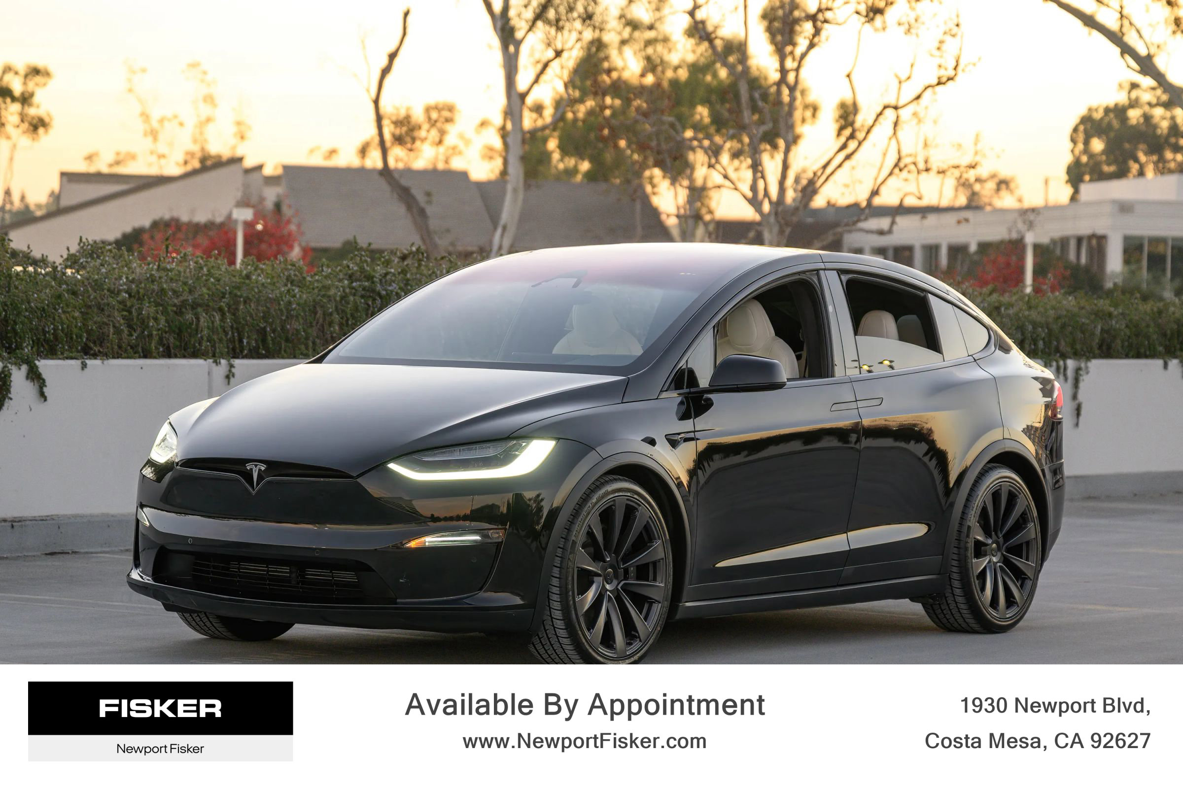 Used 2022 Tesla Model X Plaid image 9