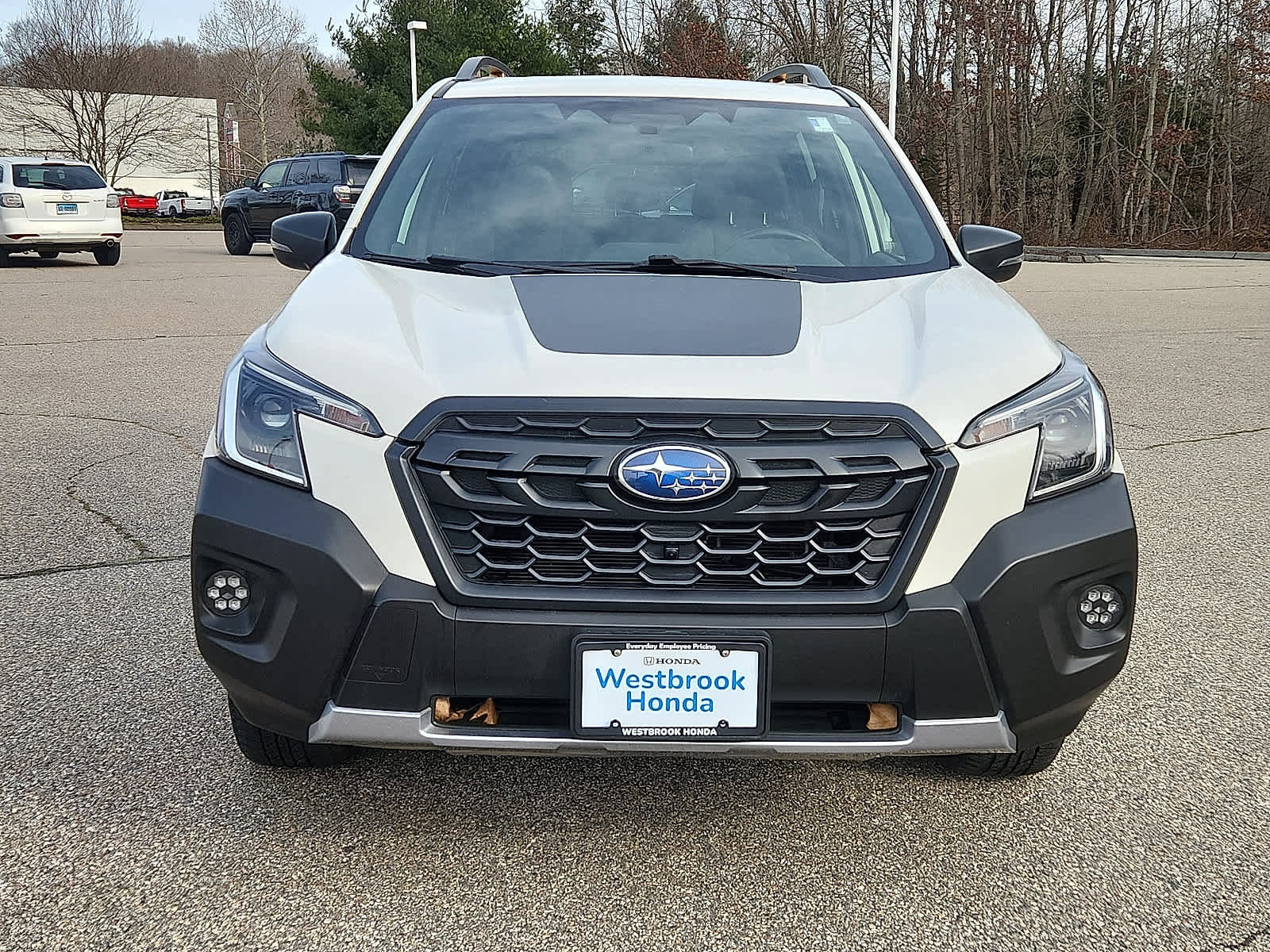 Used 2023 Subaru Forester Wilderness image 2