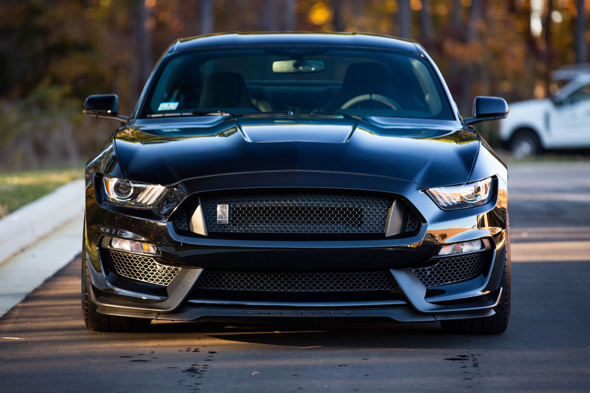 Used 2019 Ford Mustang Shelby GT350 w/ Technology Package image 10