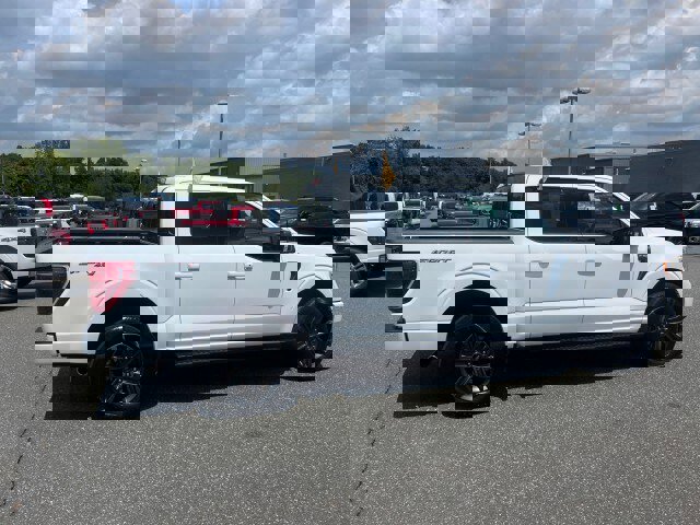 Certified 2023 Ford F150 XLT w/ Equipment Group 302A High image 6