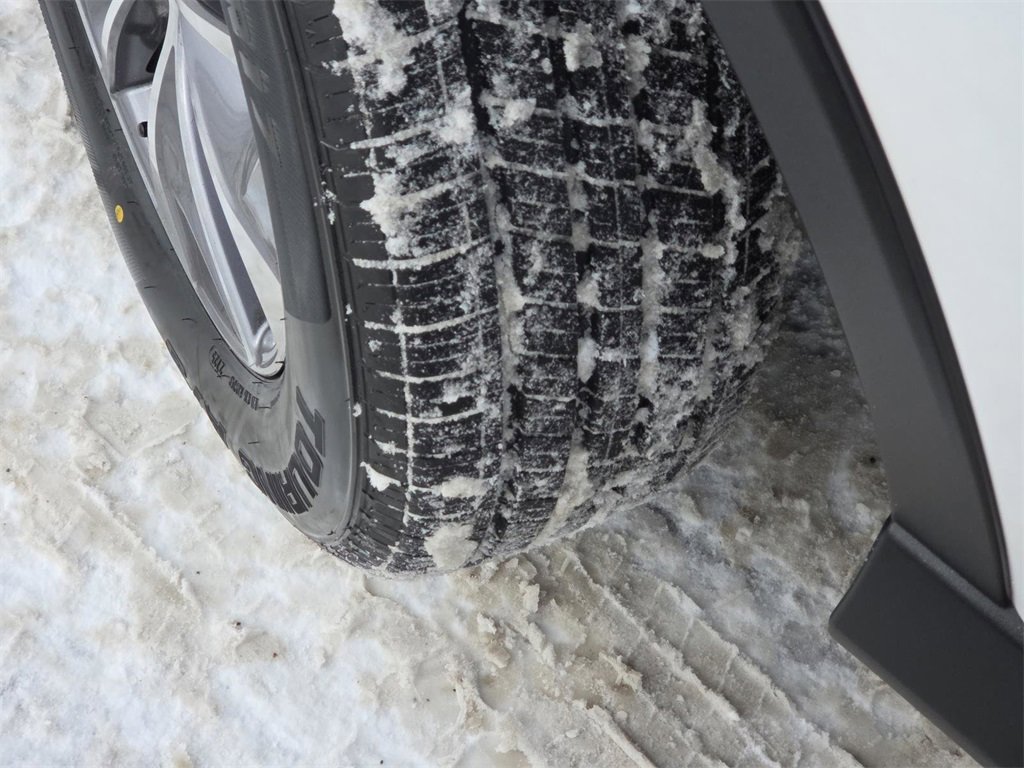 Used 2017 Toyota RAV4 XLE w/ All Weather Liner Package image 9