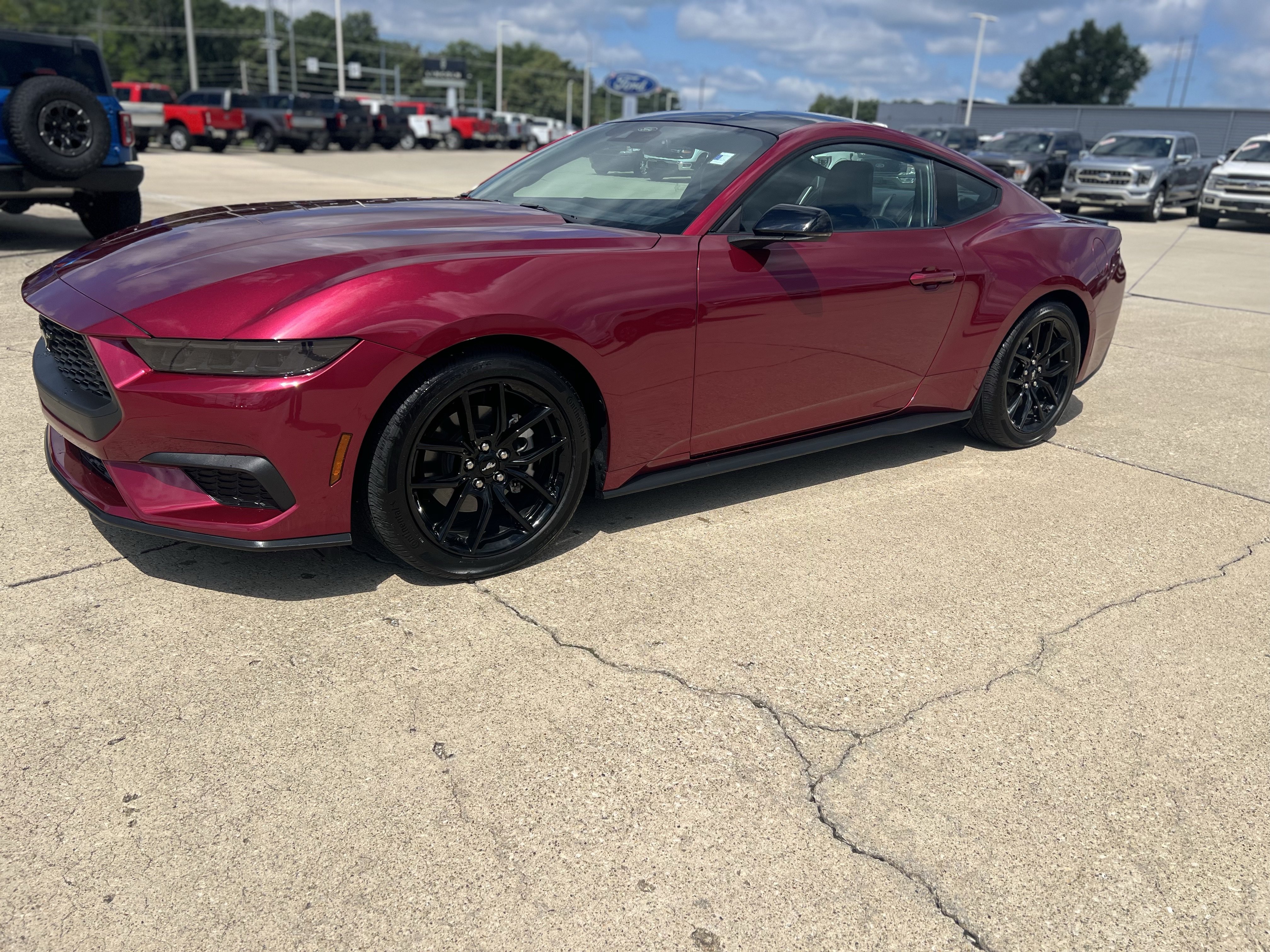 Used 2025 Ford Mustang Premium RWD image 8