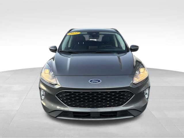 Used 2022 Ford Escape SEL image 7