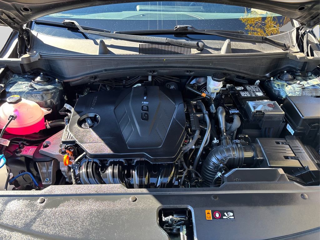 Used 2024 Kia Sportage X-Line image 13