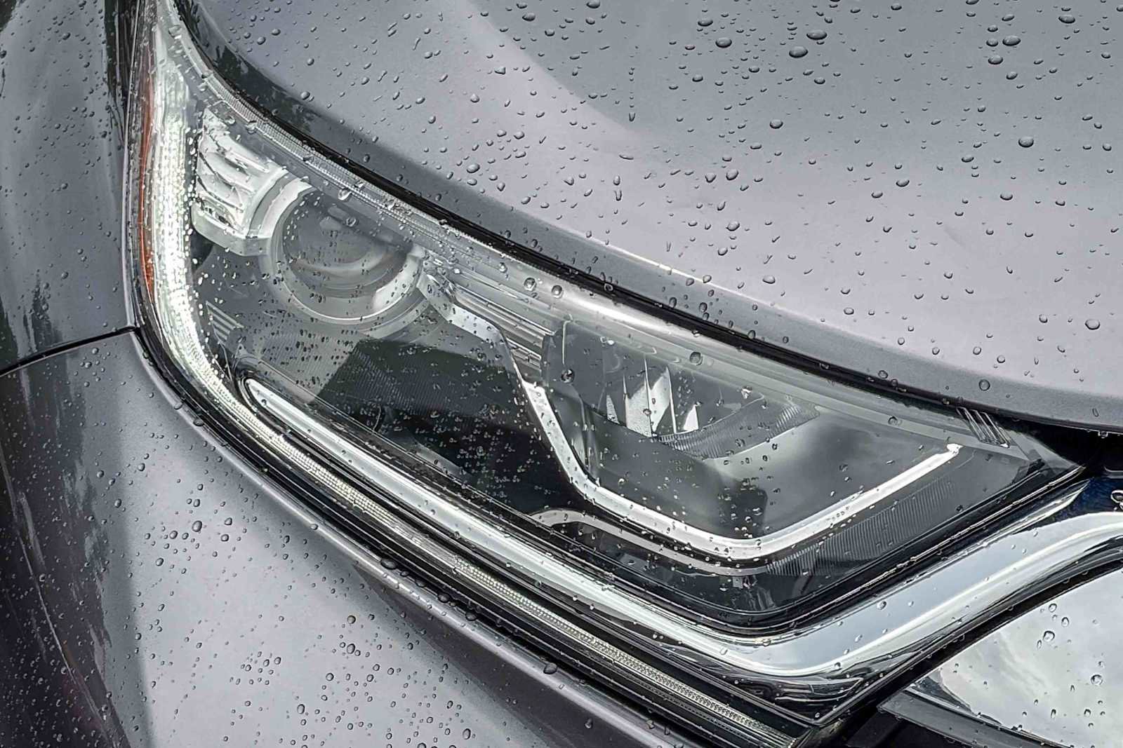 Used 2019 Honda CR-V EX-L image 7
