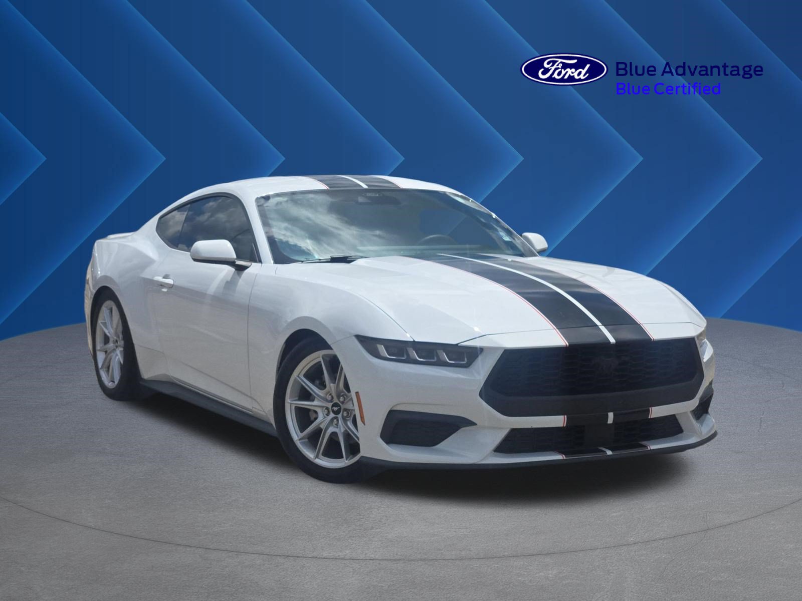 Used 2024 Ford Mustang Premium RWD video 1