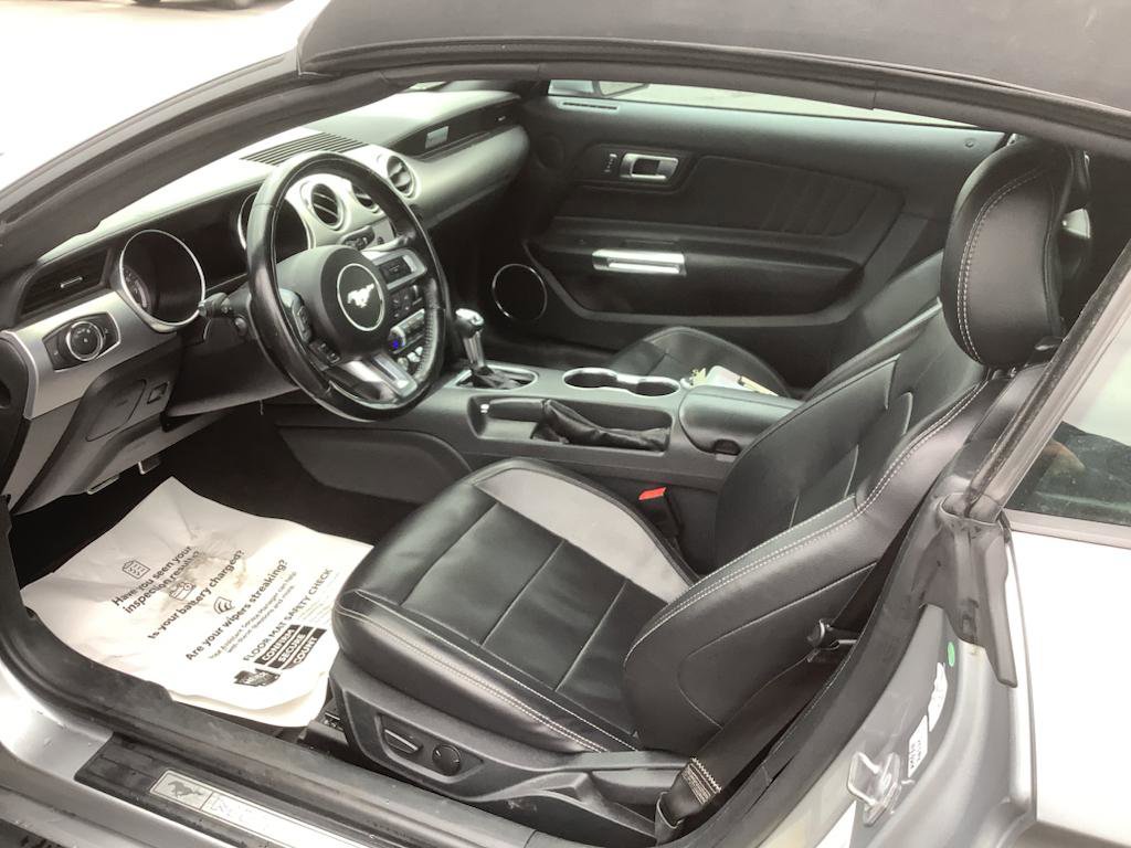 Used 2023 Ford Mustang Premium image 9