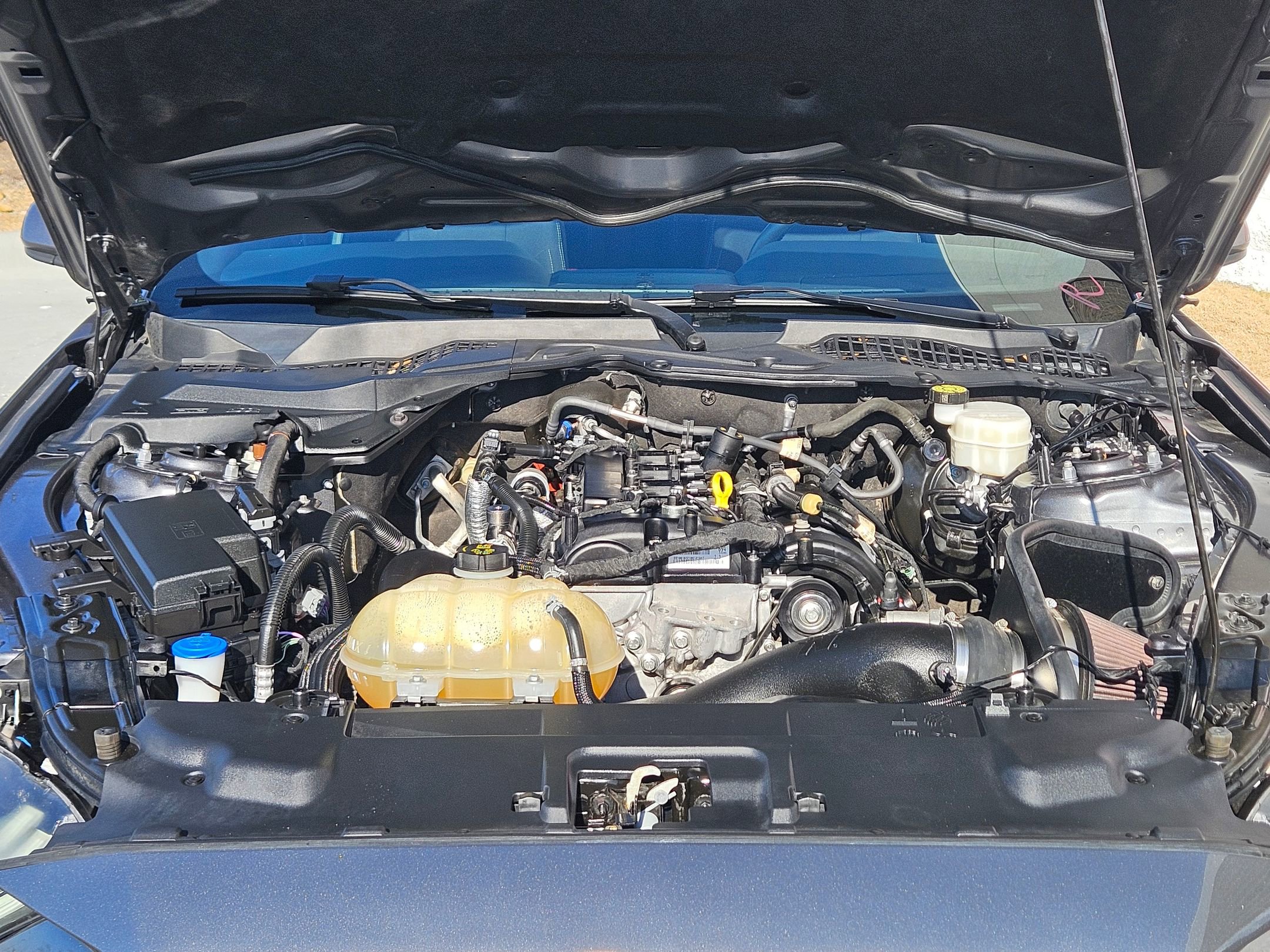 Used 2022 Ford Mustang Coupe w/ Equipment Group 101A image 29