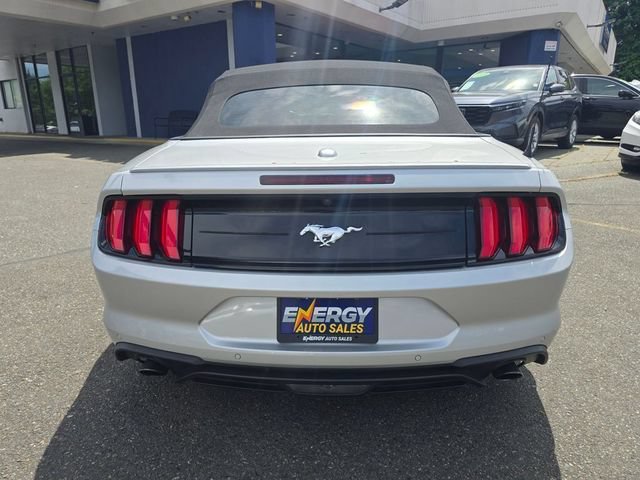 Used 2019 Ford Mustang Premium RWD image 6