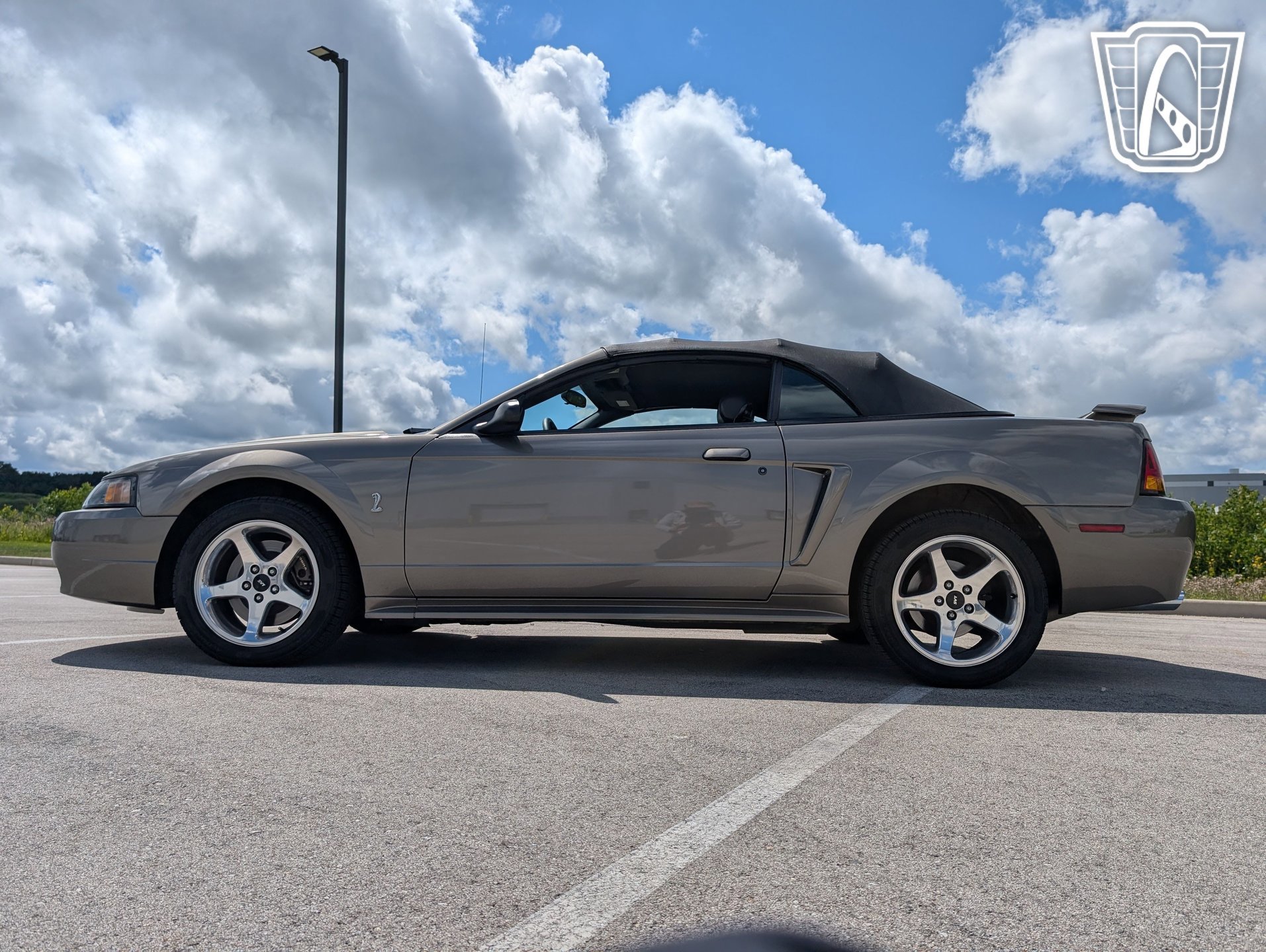 Used 2001 Ford Mustang Cobra image 7