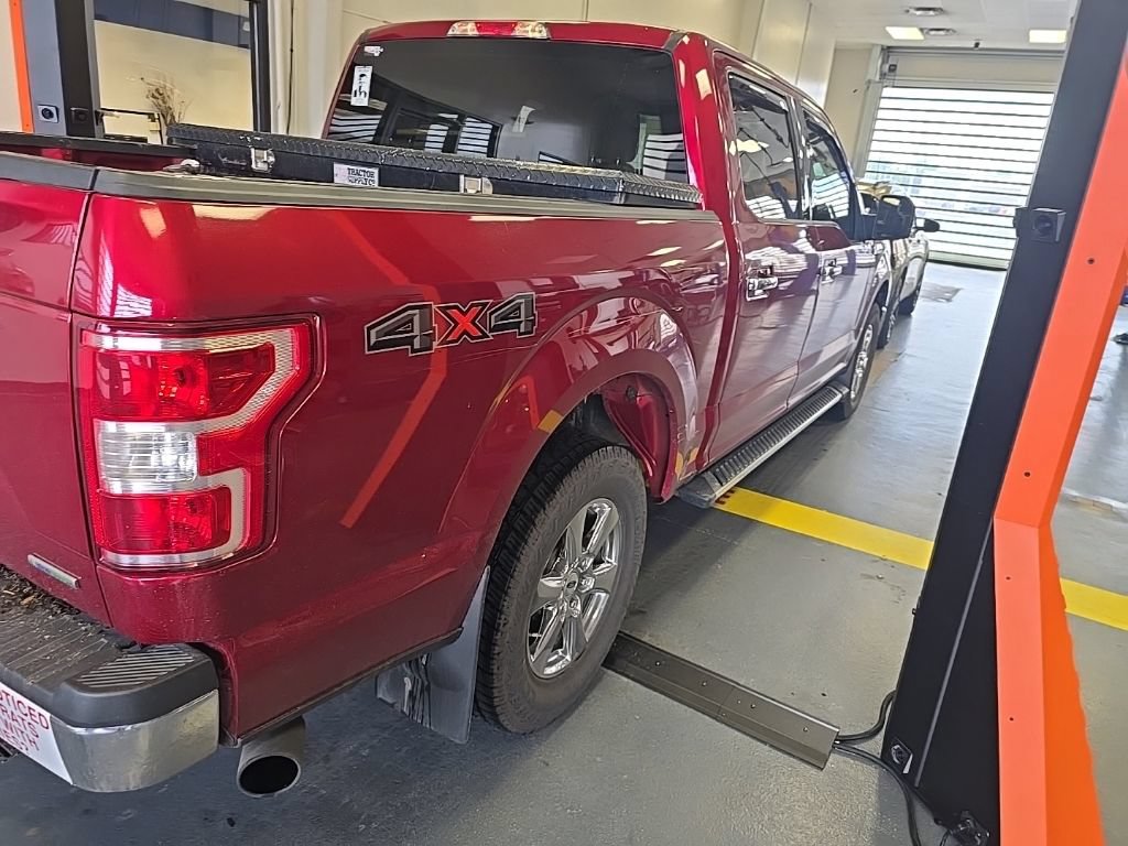 Used 2019 Ford F150 XLT w/ Equipment Group 302A Luxury AWD/4WD image 3