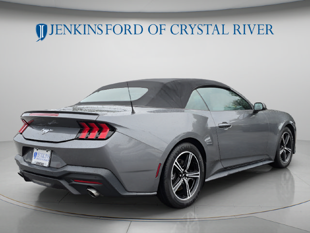Used 2024 Ford Mustang Premium RWD image 3