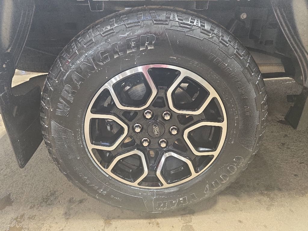 Used 2023 Ford F150 XL w/ STX Appearance Package AWD/4WD image 40