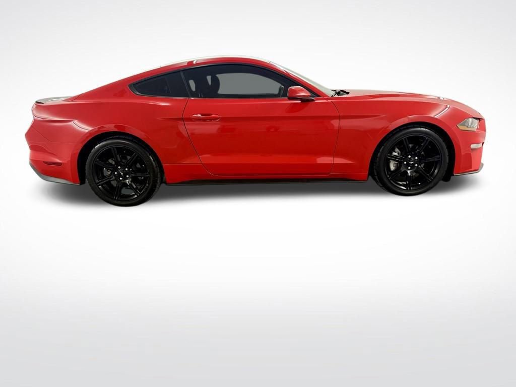Used 2019 Ford Mustang Coupe w/ Black Accent Package image 9