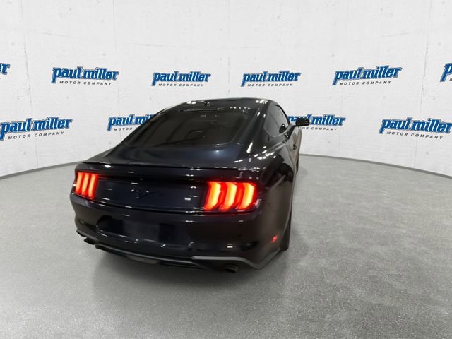 Used 2019 Ford Mustang EcoBoost w/ Black Accent Package image 11