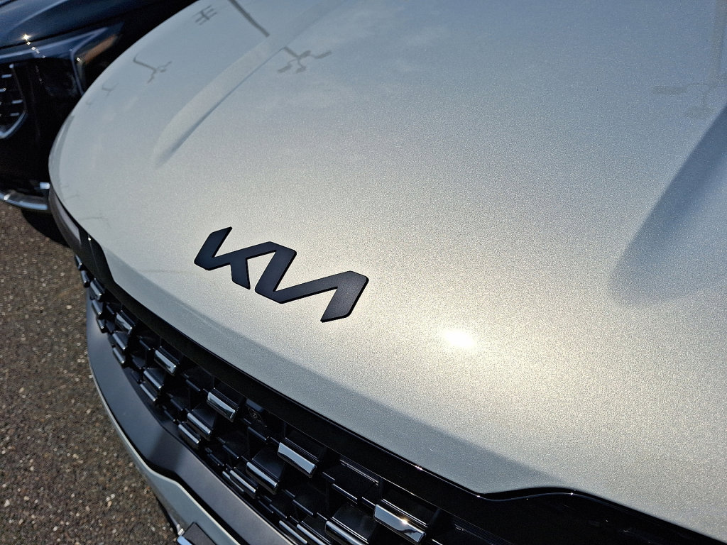 New 2026 Kia Carnival SX Prestige image 5