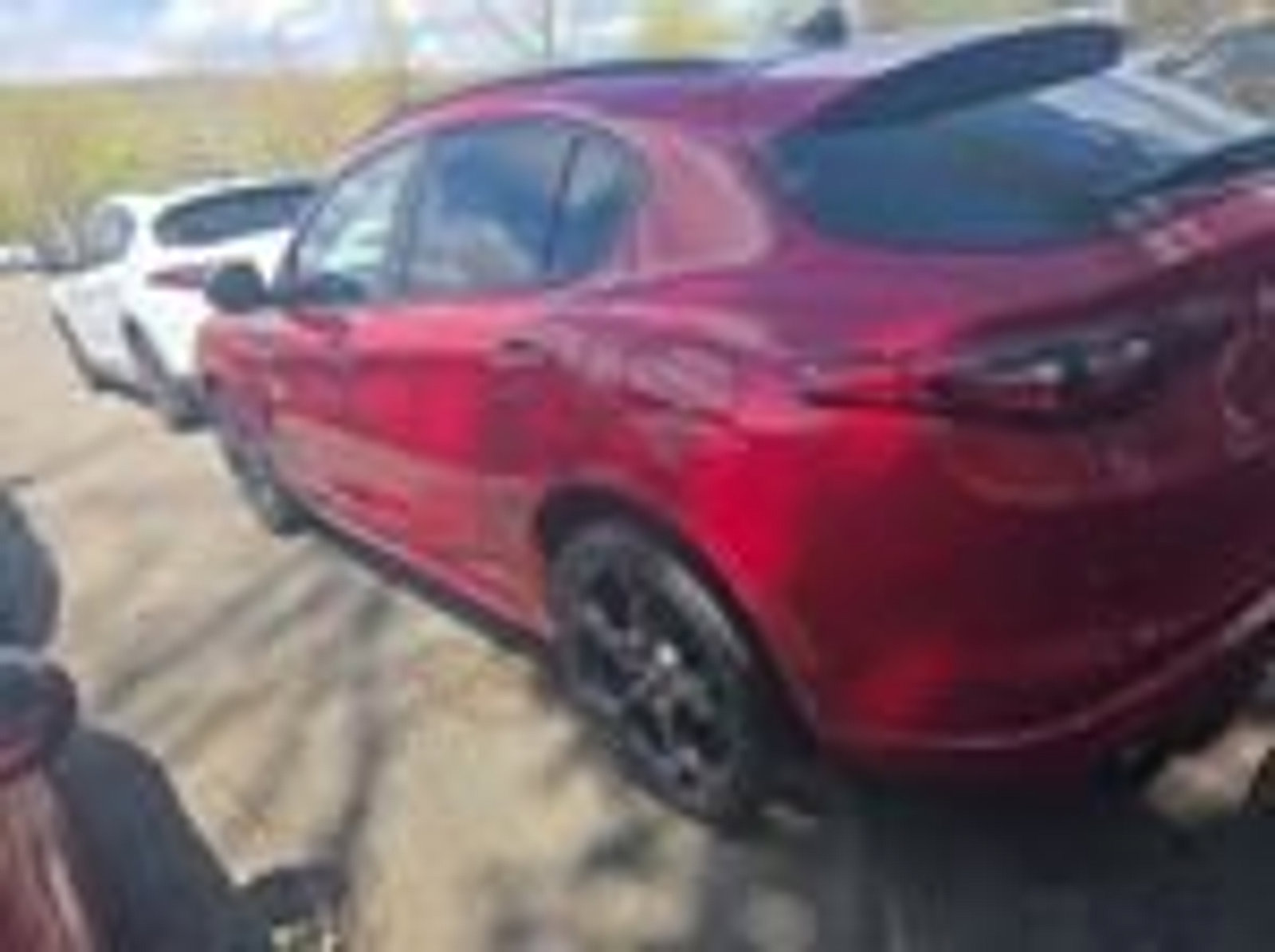 Used 2023 Alfa Romeo Stelvio Estrema image 3