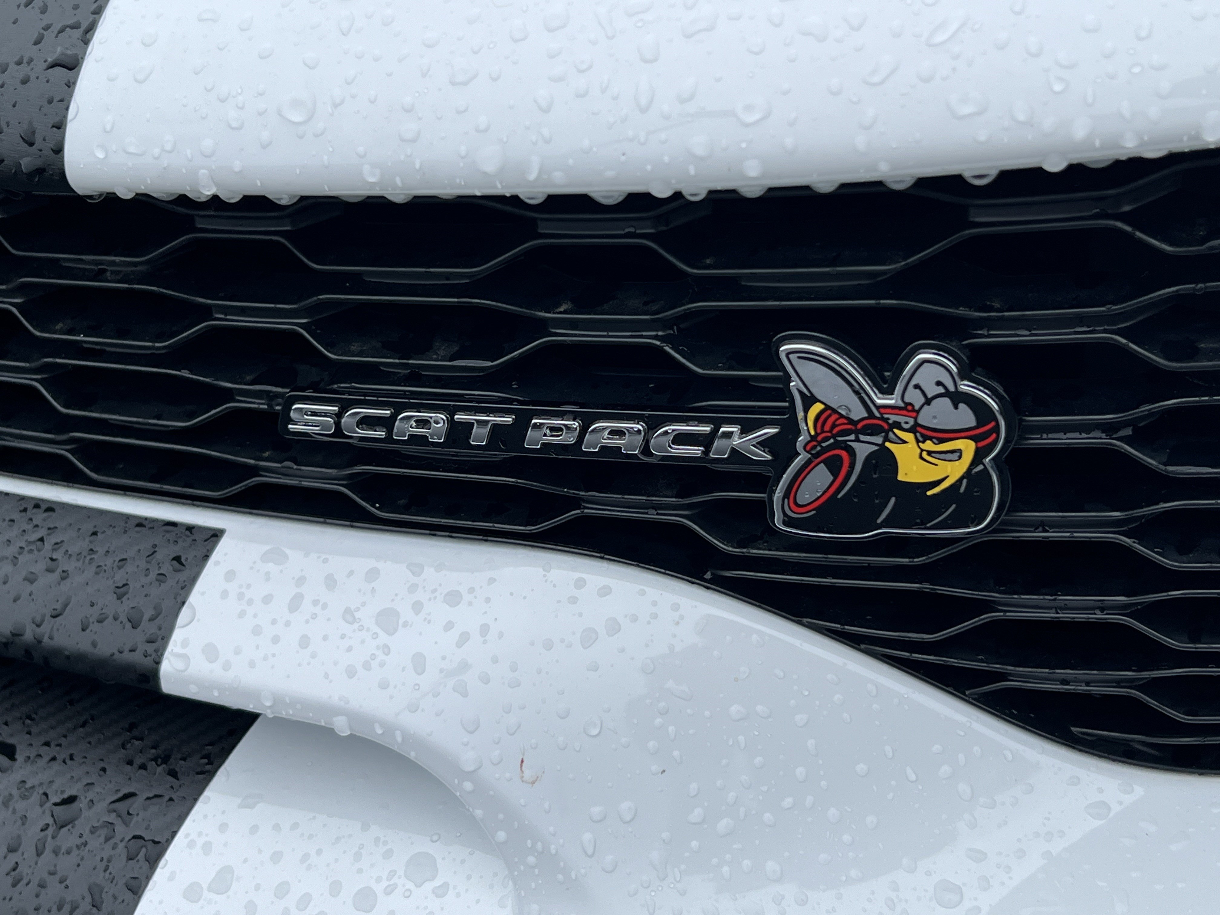 Used 2021 Dodge Charger Scat Pack RWD image 8