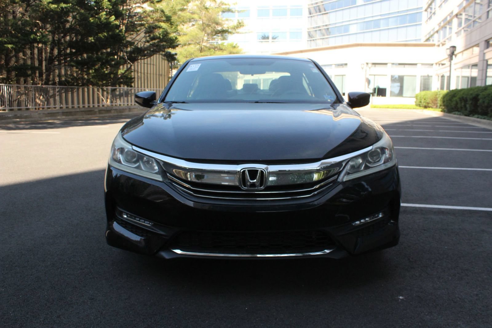 Used 2017 Honda Accord Sport Special Edition image 3